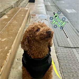 594508902_777365788644860_1402556154629186008_n