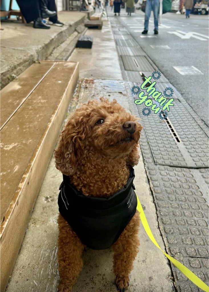 594508902_777365788644860_1402556154629186008_n