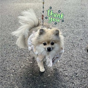 594529478_2098122597391633_2782341524249681616_n