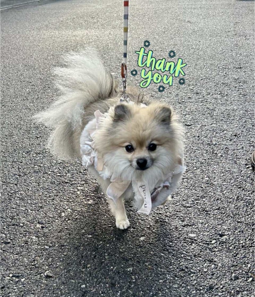 594529478_2098122597391633_2782341524249681616_n