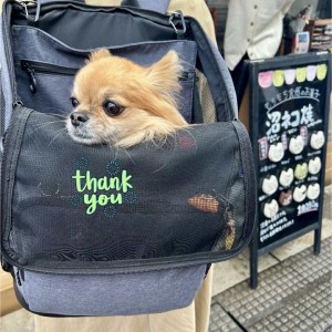 595207232_1631803824653013_5305751677201081648_n