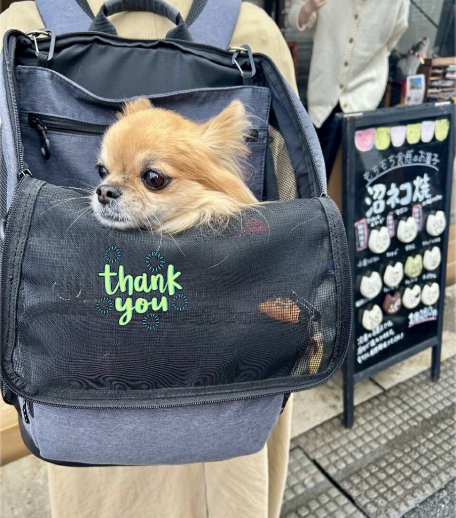 595207232_1631803824653013_5305751677201081648_n