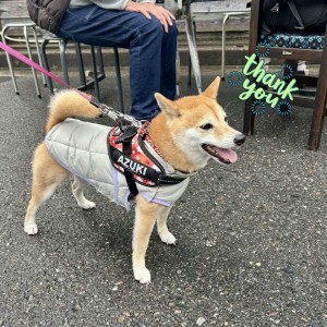 597243551_2862470103947189_5824019225320025613_n