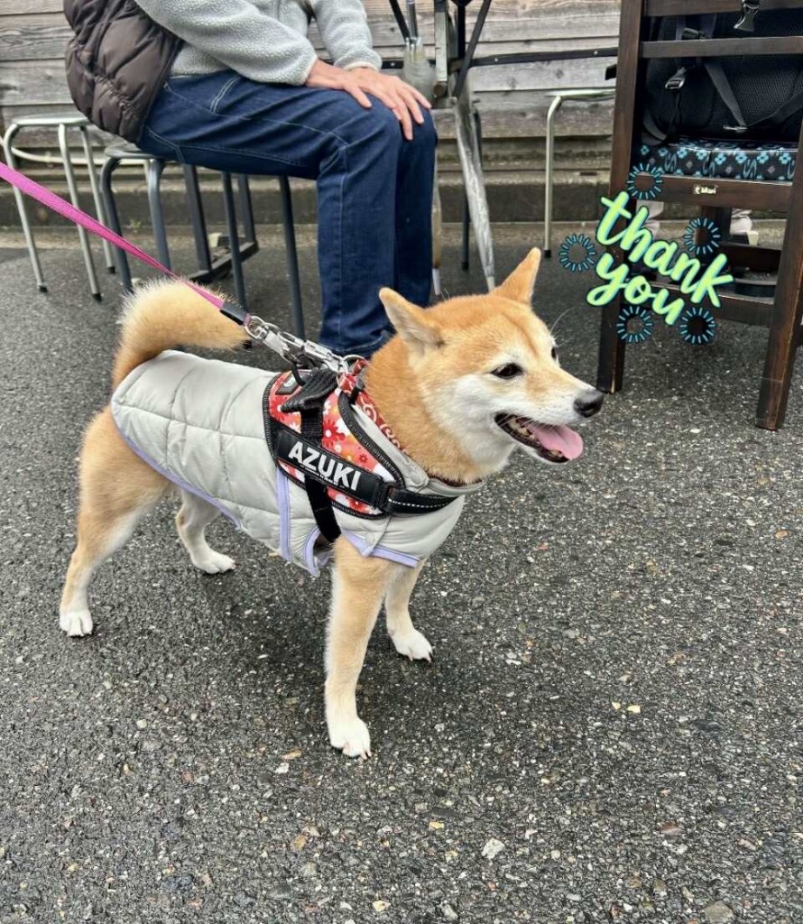 597243551_2862470103947189_5824019225320025613_n