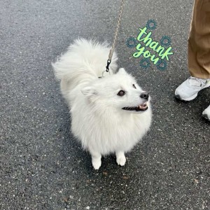 597514009_836174465964489_7902308933002309046_n