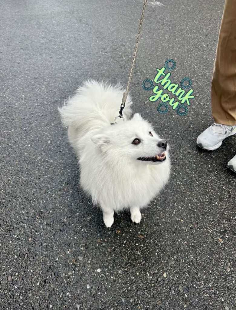 597514009_836174465964489_7902308933002309046_n