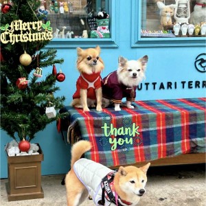 597631353_830419346457241_6275731683628056143_n