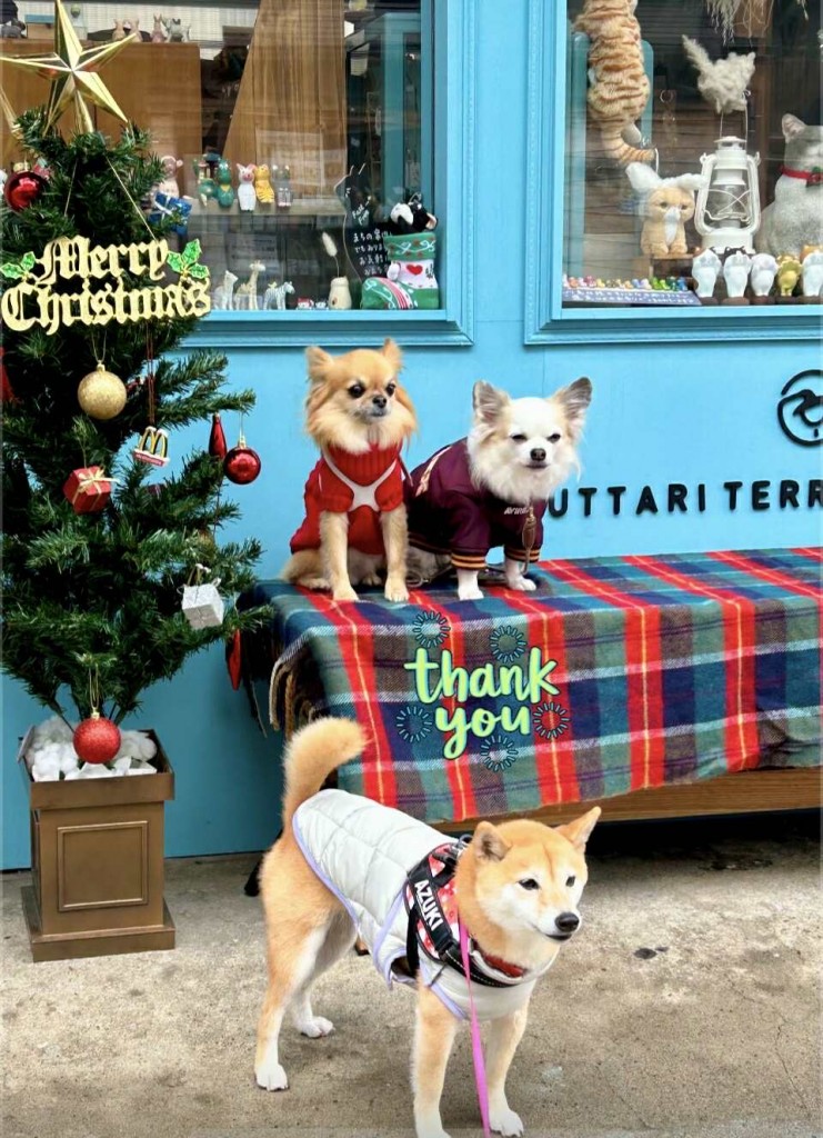 597631353_830419346457241_6275731683628056143_n