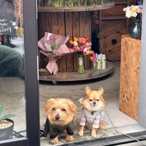 620499484_1568646331050429_5602960454605784255_n