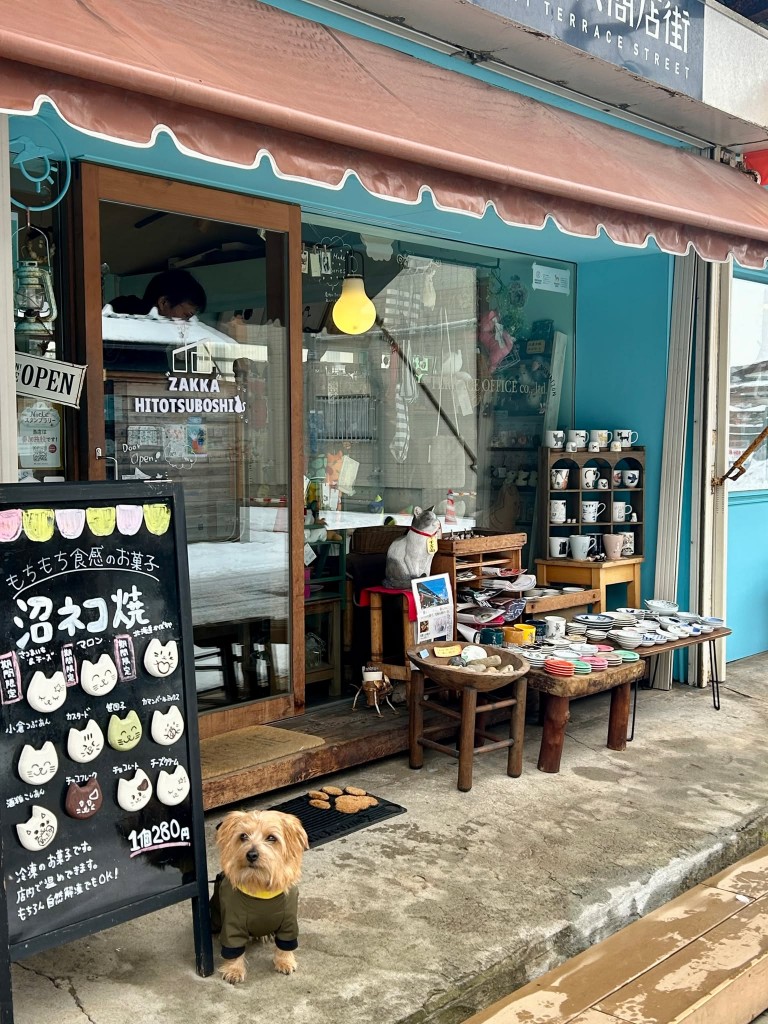 620569028_880816554658707_5569203513210317985_n