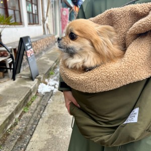 623370369_3266034146893417_783499039246202834_n