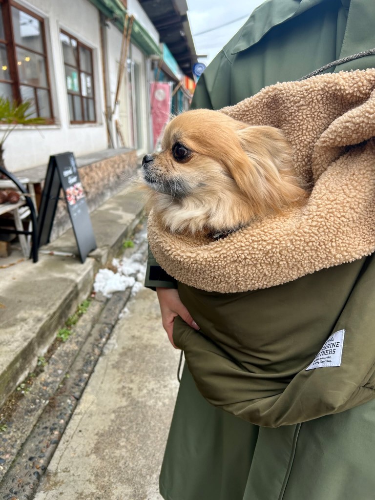 623370369_3266034146893417_783499039246202834_n