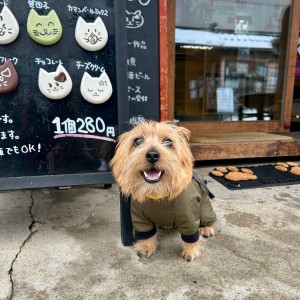 623388149_895255446571903_6925873962300891415_n