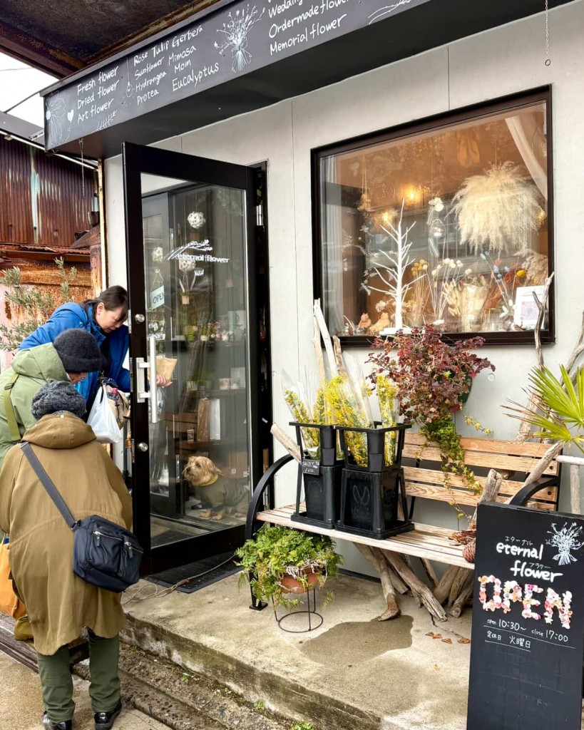 625886494_1497165318752857_666382468583730209_n